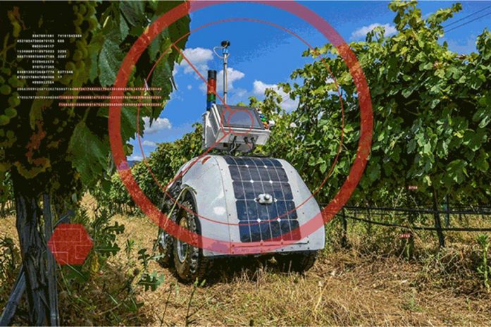 robot in vineyard