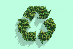 sustainable logo
