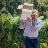 vigneron portant un carton de vins