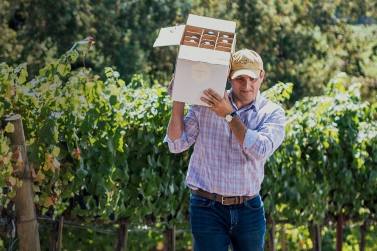 vigneron carrying a box of wine